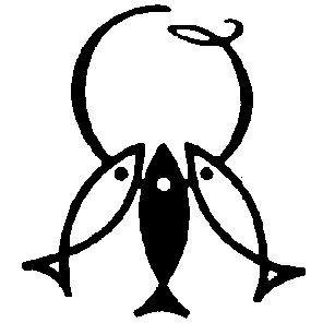 о o