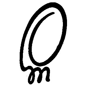о т o m