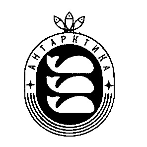 антарктика