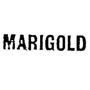 marigold
