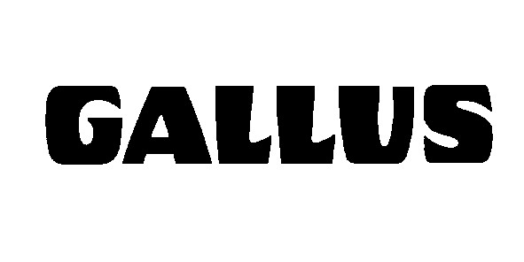 gallus