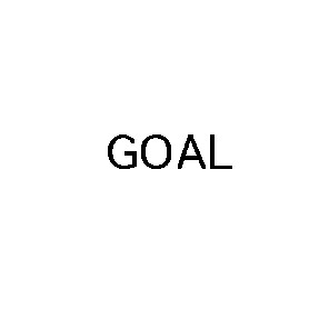 goal