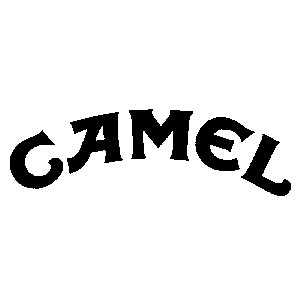 camel