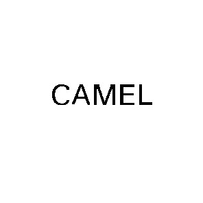 camel