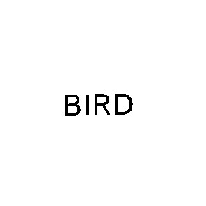 bird
