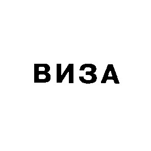 виза