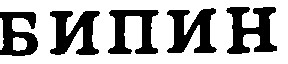 бипин