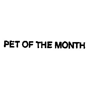 pet of the month