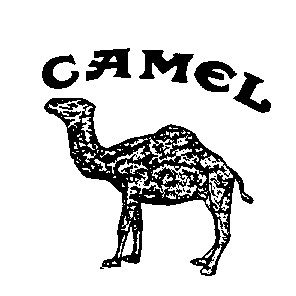 camel