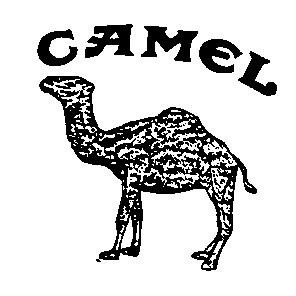 camel