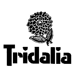 tridalia