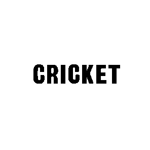 cricket