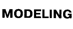 modeling