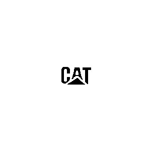 сат cat