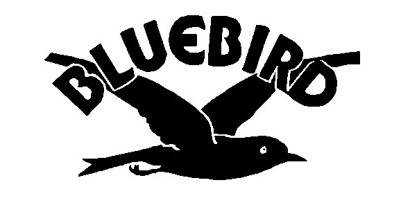 bluebird