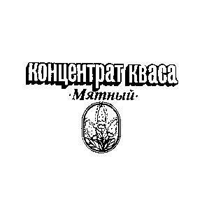 концентрат кваса мятный