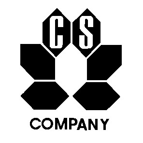 cs company