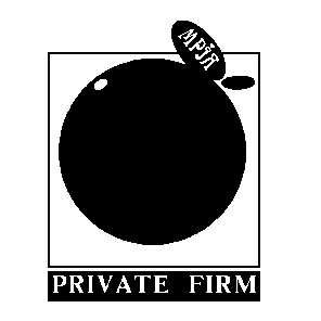 мрія private firm