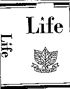life vita magna est