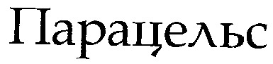 парацельс