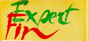 expert fin