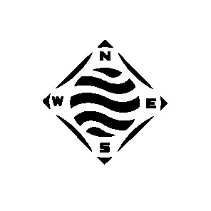 n w s e