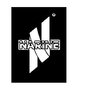 narine n