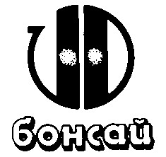 бонсай бонсай