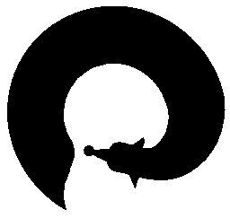 о o