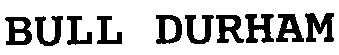 bull durham