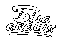 біла акація