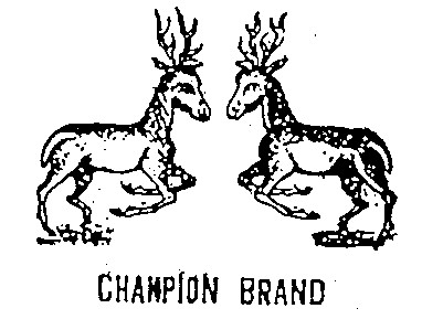 chanpion brand