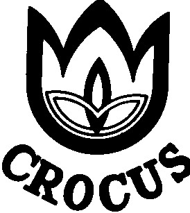 crocus