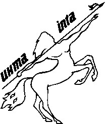 инта inta