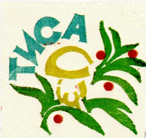 тиса