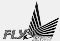 fly