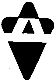 д