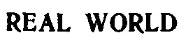 real world