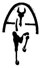 am