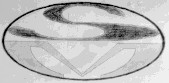 sm ms