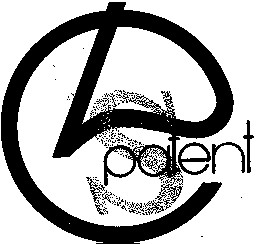 d s patent