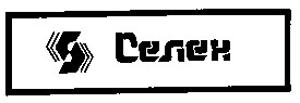 селен s