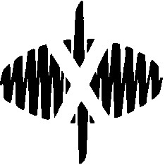 х x