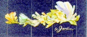 ie jardin