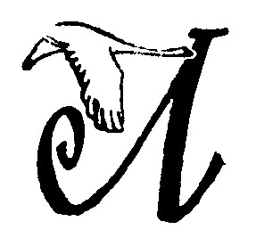 л