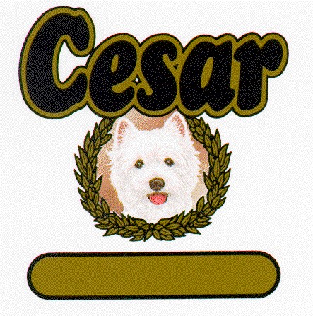 cesar