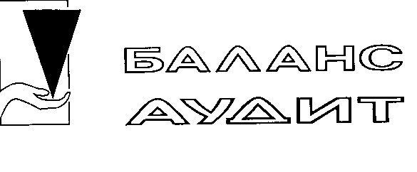 баланс аудит