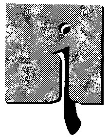 п і n i