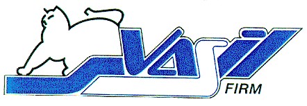 vasil firm