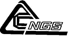 ngs